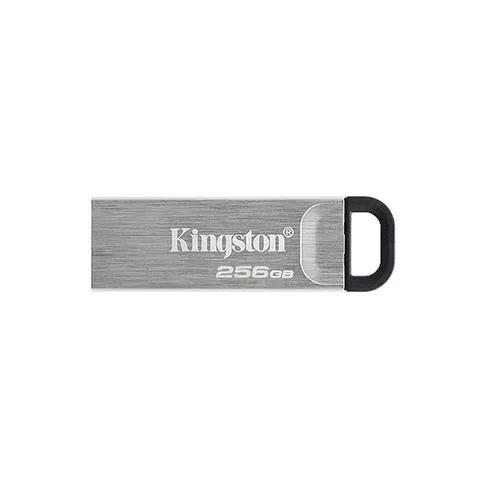 Pendrives Kingston Datatraveler DTKN/256GB 3.2
