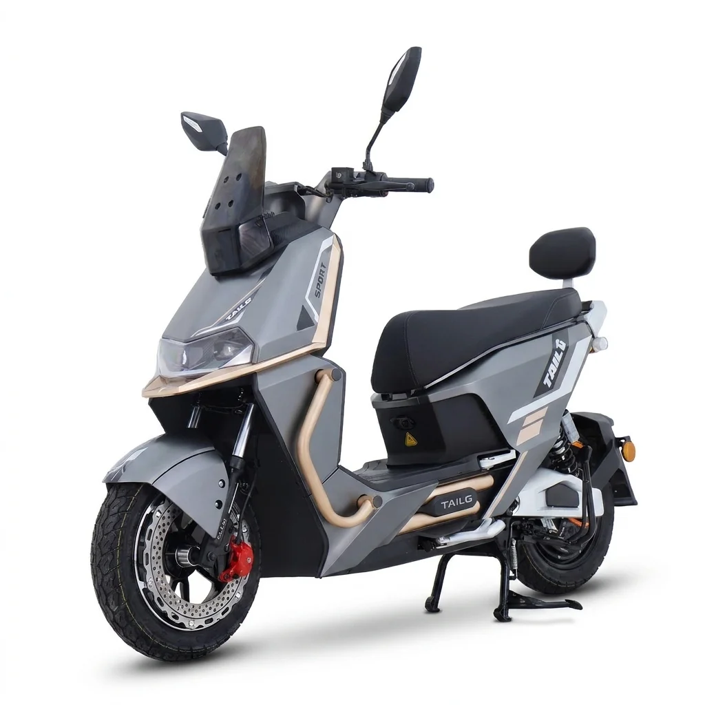 Moto Elétrica Tailg T73 1000W Cinza/Dourado 32km/h